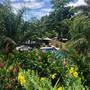 Горящие туры в отель Eden Hills Residence, Anse Boileau - 3