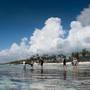 Горящие туры в отель Matemwe Beach House - 6