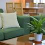 Горящие туры в отель The Maple Suite - 2