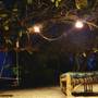 Горящие туры в отель Evergreen Bungalows - 1