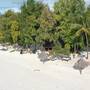 Горящие туры в отель Evergreen Bungalows - 3