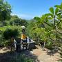 Горящие туры в отель Poh Manis Lembongan - 6