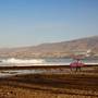 Горящие туры в отель Sol Tenerife - 4