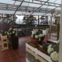 Горящие туры в отель Репино Cronwell Park Hotel - 6