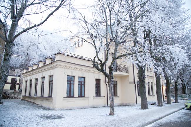 Княжна Мери