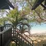Горящие туры в отель Holiday Inn Phi Phi - 6