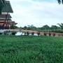 Горящие туры в отель Amantra Lake View Resort - 5