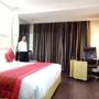 Горящие туры в отель Airport Hotel Grand Delhi - 2