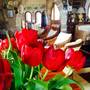 Горящие туры в отель Bellapais Gardens Hotel - 6