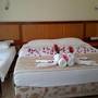 Горящие туры в отель Odile Hotel - 3