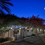 Горящие туры в отель Merit Cyprus Gardens Holiday - 1