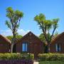 Горящие туры в отель Can Garden Beach Hotel - 6
