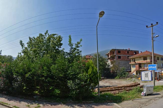 Талиа Екскулисиве Сапанка