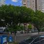 Горящие туры в отель Igneada Parlak Resort Hotel - 1