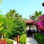 Горящие туры в отель Nerissa Hotel - 2