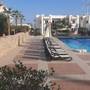 Горящие туры в отель Logaina Sharm Resort - 4
