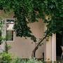 Горящие туры в отель De Albina Hotel - 4