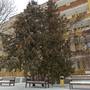 Горящие туры в отель Клинический Санаторий Им Горького - 5