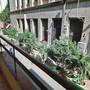 Горящие туры в отель Cairo Hotel - 5