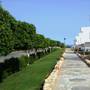 Горящие туры в отель Carlton Luxury Resort - 1