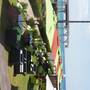 Горящие туры в отель La Playa Hotel-Club - 4