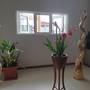Горящие туры в отель The Ridge Residence - 6