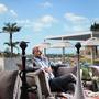 Горящие туры в отель Grand Cosmopolitan Hotel - Al Barsha - 5