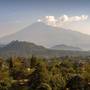 Горящие туры в отель Gran Melia Arusha - 6