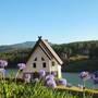 Горящие туры в отель Dalat Wonder Resort - 2