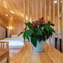 Горящие туры в отель Queen Villa Hotel - 3