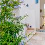 Горящие туры в отель Via Farilya Hotel - 4
