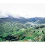 Горящие туры в отель Sapa Charm Hotel - 4