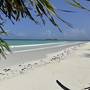 Горящие туры в отель Kiwengwa Bungalow Boutique Resort - 1