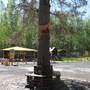 Горящие туры в отель Лукоморье - 1
