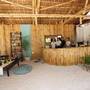 Горящие туры в отель Ocean Vida Beach & Dive Resort - 4
