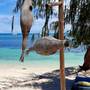 Горящие туры в отель Ocean Vida Beach & Dive Resort - 2
