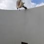 Горящие туры в отель Omeesha Beach Hotel - 3