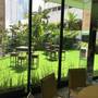 Горящие туры в отель Continental Hotel & Casino - 3