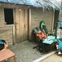 Горящие туры в отель Kite Paradise Resort-kalpitiya - 2