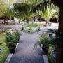 Горящие туры в отель Kite Paradise Resort-kalpitiya - 6