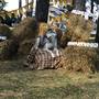 Горящие туры в отель Загородный комплекс Шишки - 4