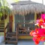 Горящие туры в отель Hotel Riviera Caribe Maya - 1