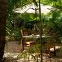 Горящие туры в отель Qambani Luxury Resort - 5