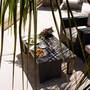 Горящие туры в отель Qambani Luxury Resort - 4