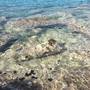 Горящие туры в отель Villa Blue Coast, Lagonissi - 1