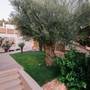 Горящие туры в отель Villa Blue Coast, Lagonissi - 2