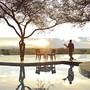 Горящие туры в отель Four Seasons Safari Lodge Serengeti - 4