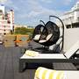 Горящие туры в отель Protur Naisa Palma Hotel - 4