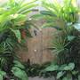 Горящие туры в отель Cantaloupe House Ahangama - 4