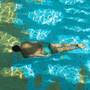 Горящие туры в отель Vichy Celestins Spa Hotel Casablanca - 4